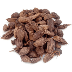 Black Cardamom Seed 100gm Black Cardamom Seed 100gm