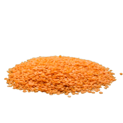 Masoor dal (red split beans without skin) 500g Masoor dal (red split beans without skin) 500g