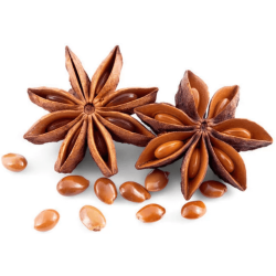 Star Anise 100g Star Anise 100g